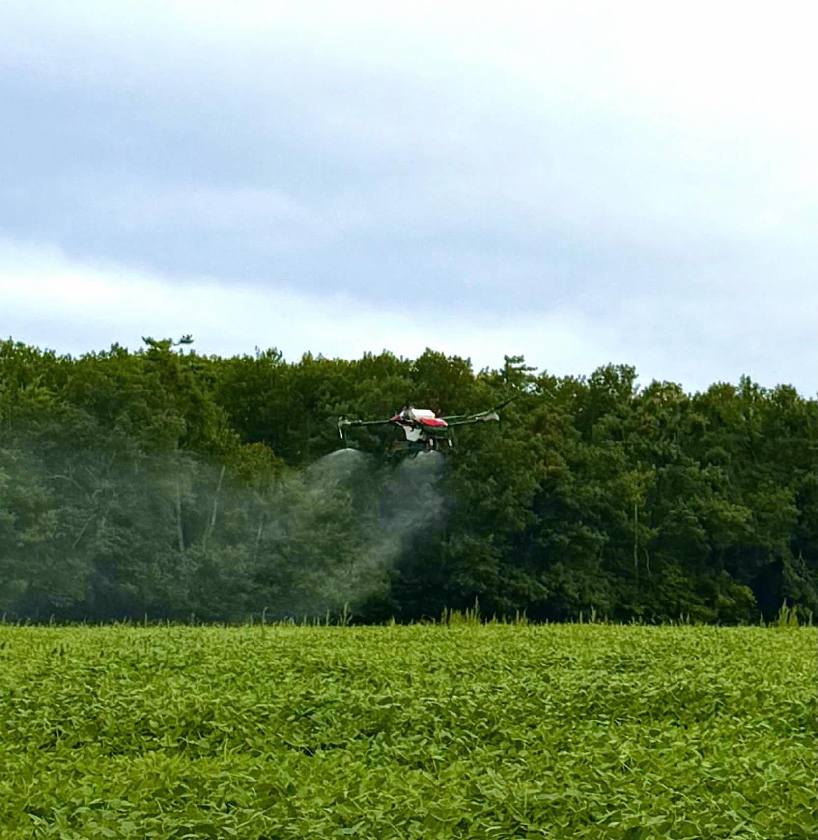 Agricultural drone spraying a fine mist over a green crop field with a forest background.